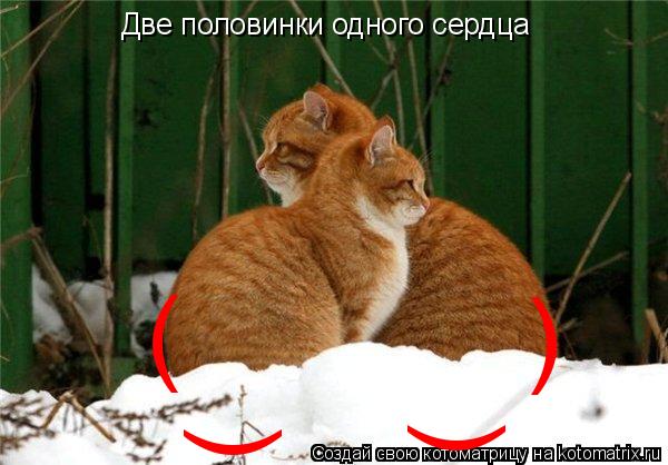 Две половинки одного сердца ( ) ) )... Котоматрица: Две половинки одного сердца ( ) ) )