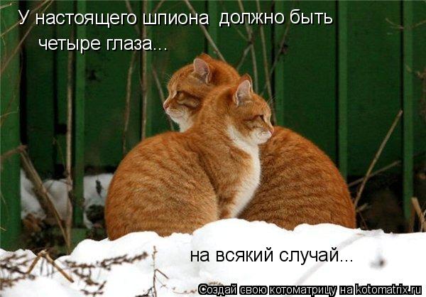 У настоящего шпиона должно быть четыре глаза... на всякий случай...... Котоматрица: У настоящего шпиона должно быть четыре глаза... на всякий случай...