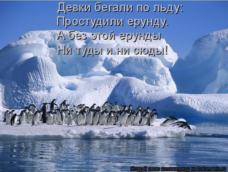 Девки бегали по льду: Простудили ерунду. А без этой ерунды Ни туды и ни сюды!... Котоматрица: Девки бегали по льду: Простудили ерунду. А без этой ерунды Ни туды и ни сюды!