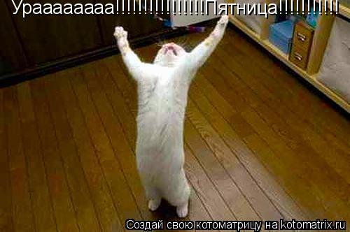 Ураааааааа!!!!!!!!!!!!!!!!Пятница!!!!!!!!!!!... Котоматрица: Ураааааааа!!!!!!!!!!!!!!!!Пятница!!!!!!!!!!!