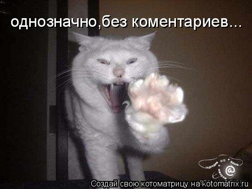 однозначно,без коментариев...... Котоматрица: однозначно,без коментариев...