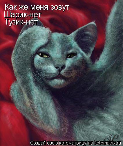Как же меня зовут Шарик-нет Тузик-нет... Котоматрица: Как же меня зовут Шарик-нет Тузик-нет