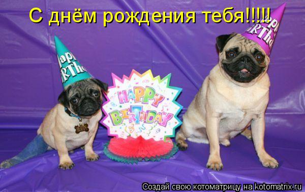 С днём рождения тебя!!!!!... Котоматрица: С днём рождения тебя!!!!!