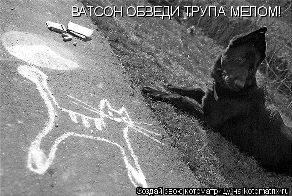 ВАТСОН ОБВЕДИ ТРУПА МЕЛОМ!... Котоматрица: ВАТСОН ОБВЕДИ ТРУПА МЕЛОМ!