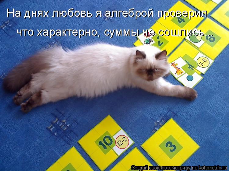 На днях любовь я алгеброй проверил что характерно, суммы не сошлись...... Котоматрица: На днях любовь я алгеброй проверил что характерно, суммы не сошлись...