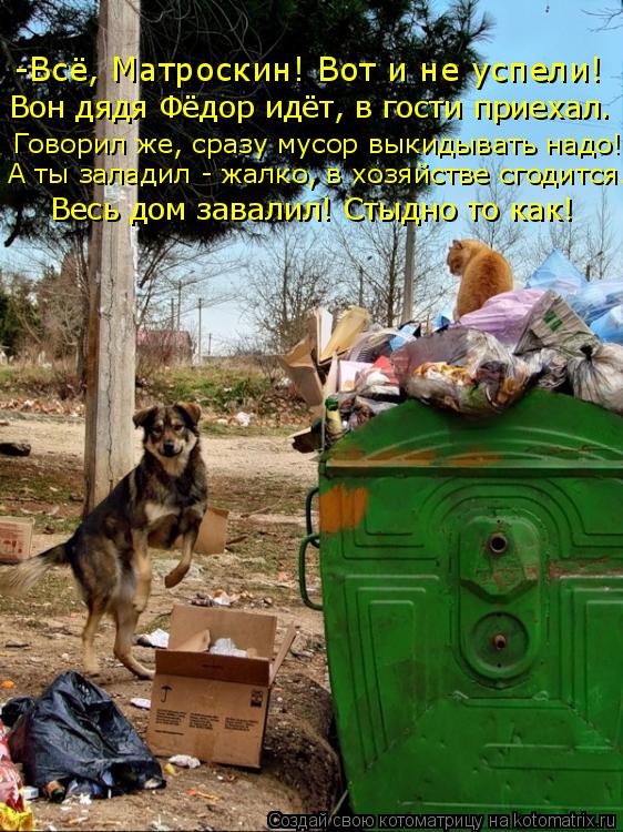 -Всё, Матроскин! Вот и не успели! Вон дядя Фёдор идёт, в гости приехал. Говорил же, сразу мусор выкид... Котоматрица: -Всё, Матроскин! Вот и не успели! Вон дядя Фёдор идёт, в гости приехал. Говорил же, сразу мусор выкидывать надо! А ты заладил - жалко, в хозяйств