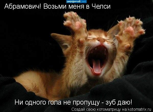 Абрамович! Возьми меня в Челси Ни одного гола не пропущу - зуб даю!... Котоматрица: Абрамович! Возьми меня в Челси Ни одного гола не пропущу - зуб даю!