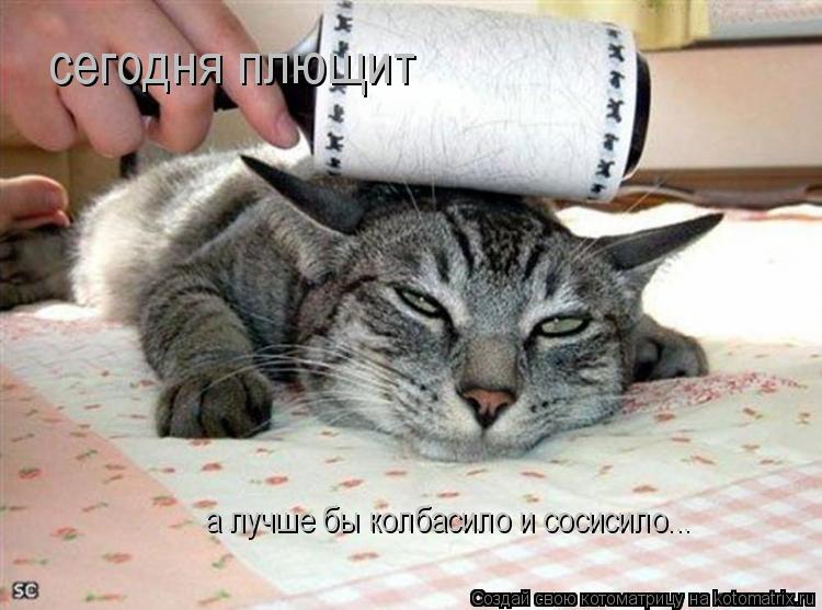 сегодня плющит а лучше бы колбасило и сосисило...... Котоматрица: сегодня плющит а лучше бы колбасило и сосисило...