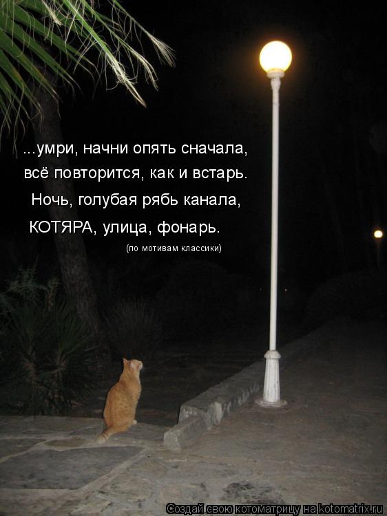 ...умри, начни опять сначала, всё повторится, как и встарь. Ночь, голубая рябь канала, КОТЯРА, улица,... Котоматрица: ...умри, начни опять сначала, всё повторится, как и встарь. Ночь, голубая рябь канала, КОТЯРА, улица, фонарь. (по мотивам классики)