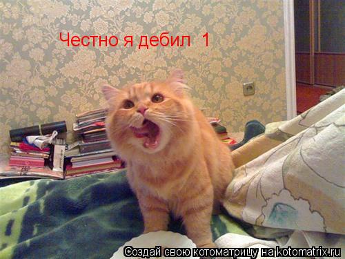 Честно я дебил №1... Котоматрица: Честно я дебил №1