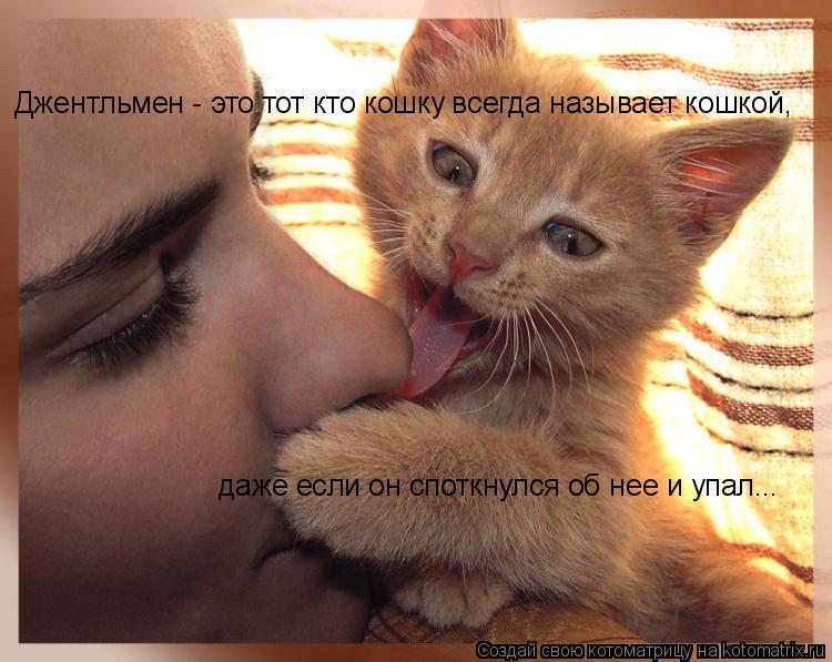 Джентльмен - это тот кто кошку всегда называет кошкой, даже если он споткнулся об нее и упал...... Котоматрица: Джентльмен - это тот кто кошку всегда называет кошкой, даже если он споткнулся об нее и упал...