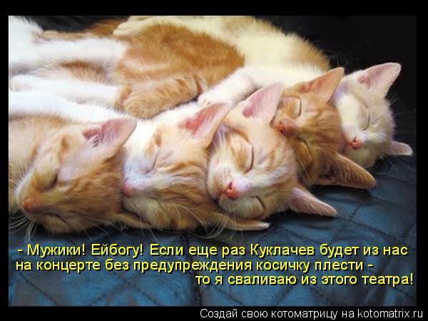 - Мужики! Ейбогу! Если еще раз Куклачев будет из нас на концерте без предупреждения косичку плести - ... Котоматрица: - Мужики! Ейбогу! Если еще раз Куклачев будет из нас на концерте без предупреждения косичку плести - то я сваливаю из этого театра!