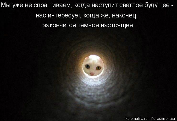 закончится темное настоящее. нас интересует, когда же, наконец, Мы уже не спрашиваем, когда наступит ... Котоматрица: закончится темное настоящее. нас интересует, когда же, наконец, Мы уже не спрашиваем, когда наступит светлое будущее -