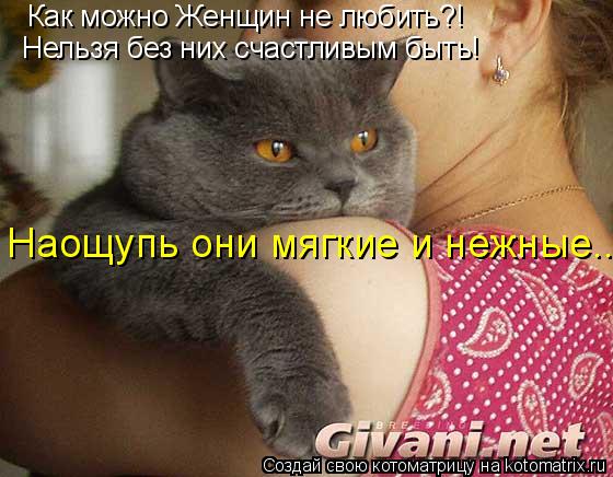 Как можно Женщин не любить?! Нельзя без них счастливым быть! Наощупь они мягкие и нежные...... Котоматрица: Как можно Женщин не любить?! Нельзя без них счастливым быть! Наощупь они мягкие и нежные...