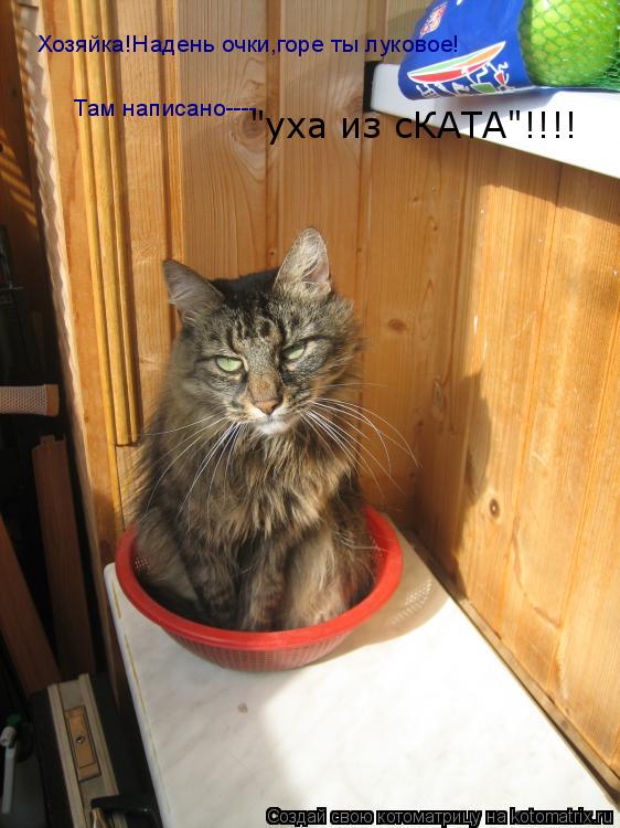 Хозяйка!Надень очки,горе ты луковое! Там написано---- "уха из сКАТА"!!!!... Котоматрица: Хозяйка!Надень очки,горе ты луковое! Там написано---- "уха из сКАТА"!!!!