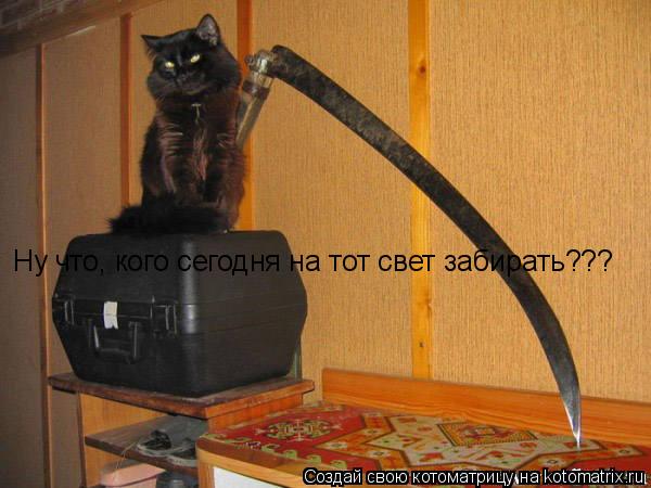 Ну что, кого сегодня на тот свет забирать???... Котоматрица: Ну что, кого сегодня на тот свет забирать???