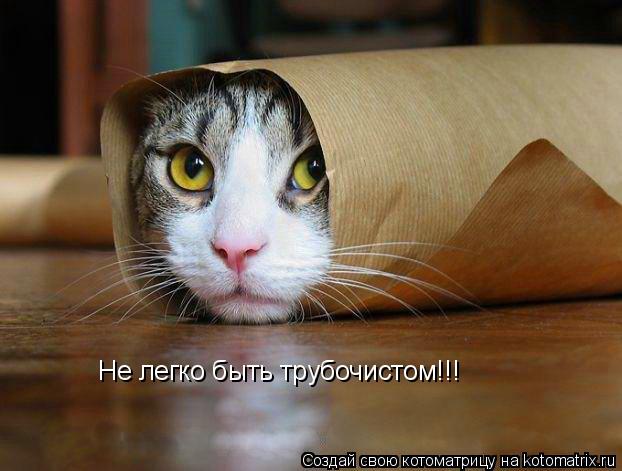 Не легко быть трубочистом!!!... Котоматрица: Не легко быть трубочистом!!!