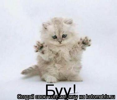 Буу!... Котоматрица: Буу!