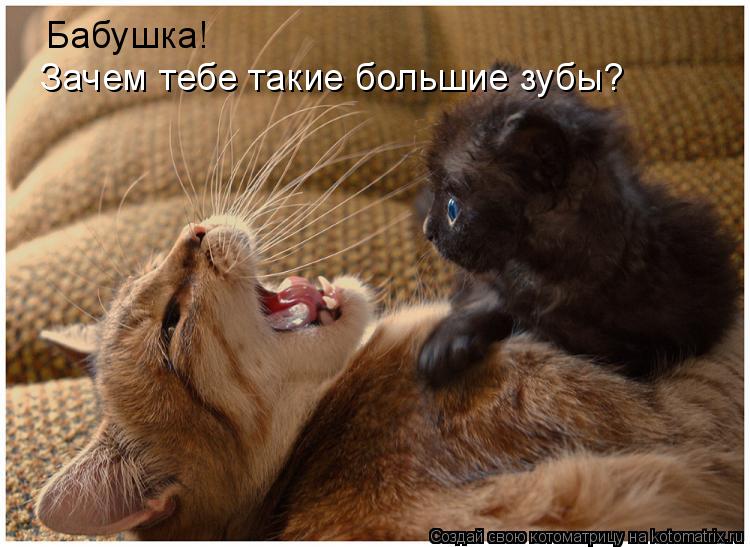 Бабушка! Зачем тебе такие большие зубы?... Котоматрица: Бабушка! Зачем тебе такие большие зубы?