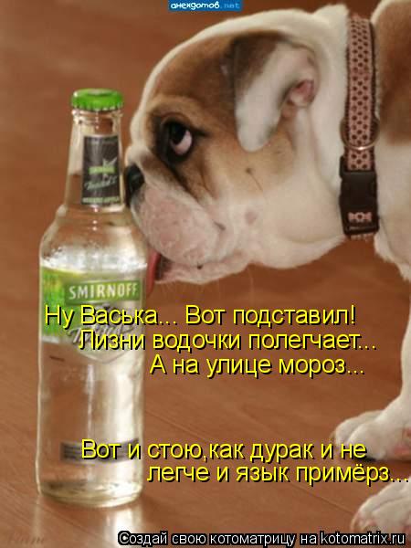 Ну Васька... Вот подставил! Лизни водочки полегчает... А на улице мороз... Вот и стою,как дурак и не... Котоматрица: Ну Васька... Вот подставил! Лизни водочки полегчает... А на улице мороз... Вот и стою,как дурак и не легче и язык примёрз...