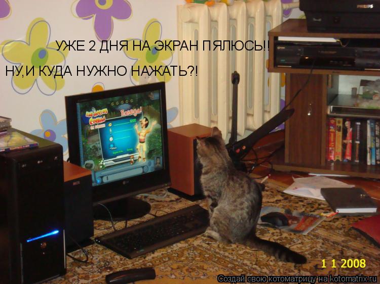НУ,И КУДА НУЖНО НАЖАТЬ?! УЖЕ 2 ДНЯ НА ЭКРАН ПЯЛЮСЬ!!... Котоматрица: НУ,И КУДА НУЖНО НАЖАТЬ?! УЖЕ 2 ДНЯ НА ЭКРАН ПЯЛЮСЬ!!