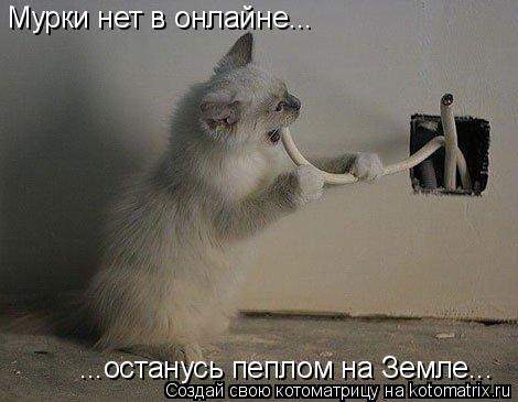 Мурки нет в онлайне... ...останусь пеплом на Земле...... Котоматрица: Мурки нет в онлайне... ...останусь пеплом на Земле...