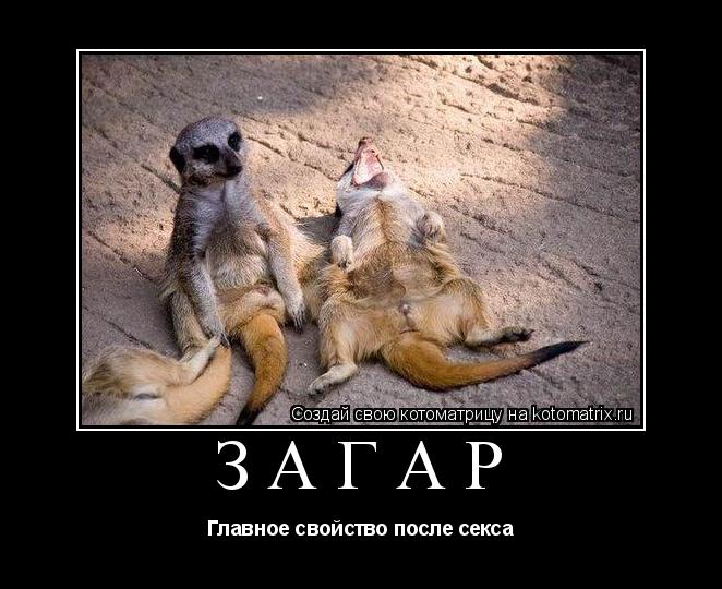 Загар Главное свойство после секса... Котоматрица: Загар Главное свойство после секса