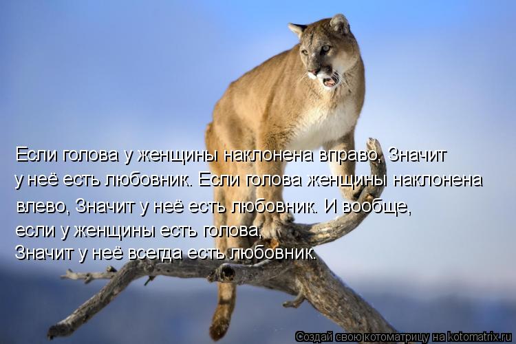 Котоматрица: Если голова у женщины наклонена вправо, Значит у неё есть любовник. Если голова женщины наклонена влево, Значит у неё есть любовник. И вообщ