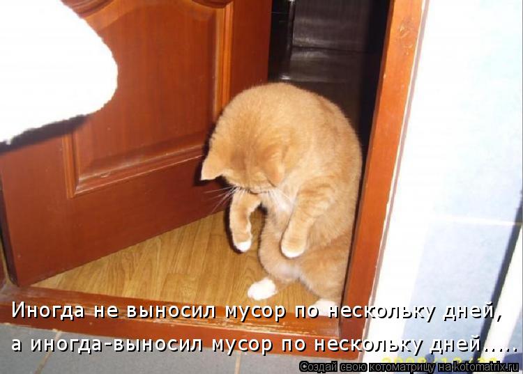 а иногда-выносил мусор по нескольку дней..... Иногда не выносил мусор по нескольку дней,... Котоматрица: а иногда-выносил мусор по нескольку дней..... Иногда не выносил мусор по нескольку дней,
