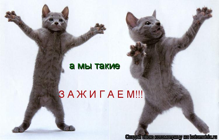 а мы такие З А Ж И Г А Е М!!!... Котоматрица: а мы такие З А Ж И Г А Е М!!!