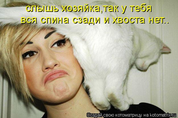 слышь хозяйка,так у тебя вся спина сзади и хвоста нет..... Котоматрица: слышь хозяйка,так у тебя вся спина сзади и хвоста нет..