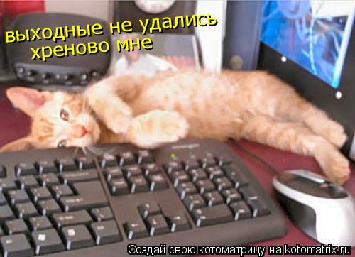 выходные не удались хреново мне... Котоматрица: выходные не удались хреново мне