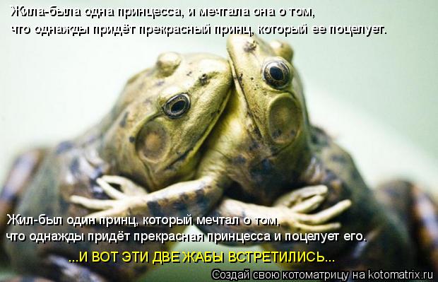 Жила-была одна принцесса, и мечтала она о том, что однажды придёт прекрасный принц, который ее поцел... Котоматрица: Жила-была одна принцесса, и мечтала она о том, что однажды придёт прекрасный принц, который ее поцелует. Жил-был один принц, который мечтал