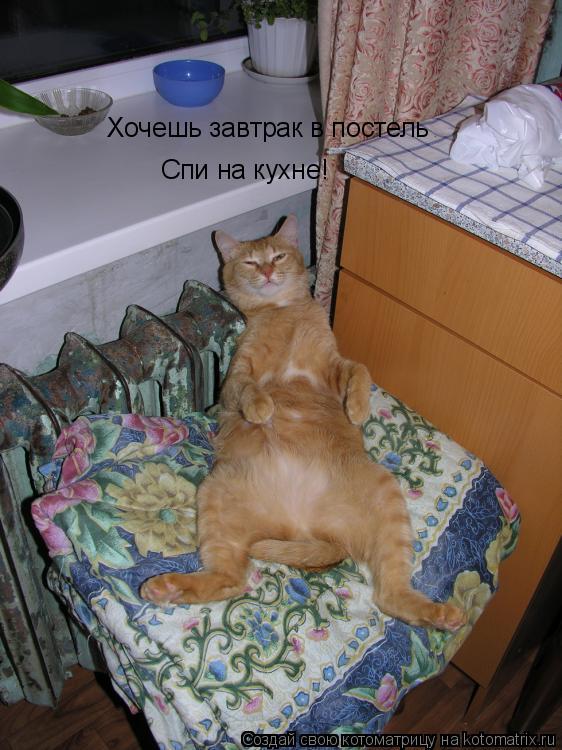 Хочешь завтрак в постель Спи на кухне!... Котоматрица: Хочешь завтрак в постель Спи на кухне!