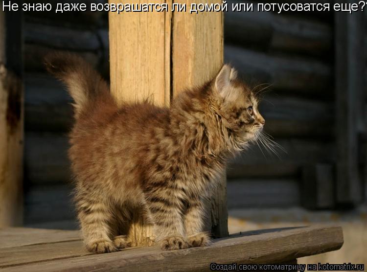 Не знаю даже возврашатся ли домой или потусоватся еще??... Котоматрица: Не знаю даже возврашатся ли домой или потусоватся еще??