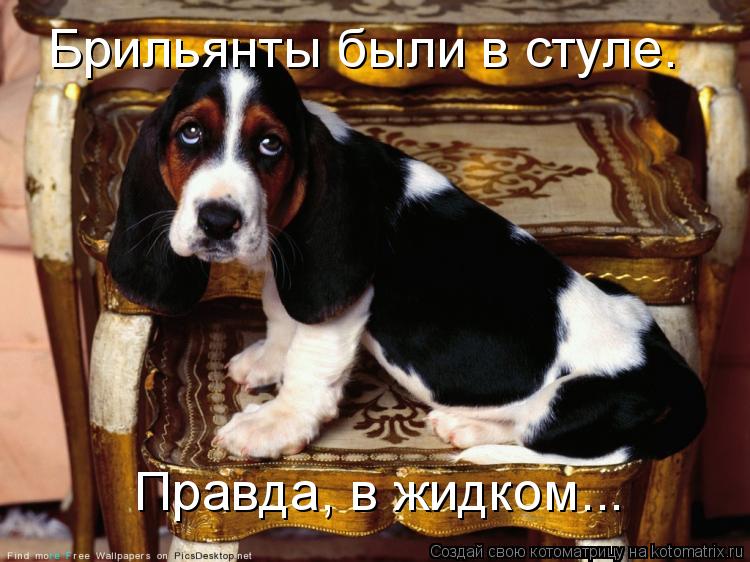 Брильянты были в стуле. Правда, в жидком...... Котоматрица: Брильянты были в стуле. Правда, в жидком...