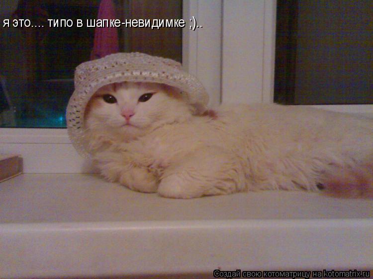 я это.... типо в шапке-невидимке ;)..... Котоматрица: я это.... типо в шапке-невидимке ;)..