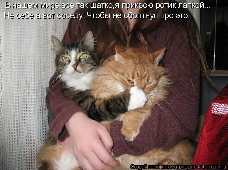 В нашем мире все так шатко,я прикрою ротик лапкой... Не себе,а вот соседу... Чтобы не сболтнул про эт... Котоматрица: В нашем мире все так шатко,я прикрою ротик лапкой... Не себе,а вот соседу... Чтобы не сболтнул про это...
