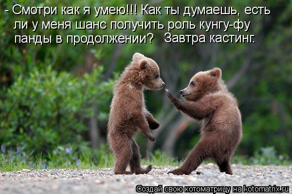 - Смотри как я умею!!! Как ты думаешь, есть ли у меня шанс получить роль кунгу-фу панды в продолжен... Котоматрица: - Смотри как я умею!!! Как ты думаешь, есть ли у меня шанс получить роль кунгу-фу панды в продолжении? Завтра кастинг.