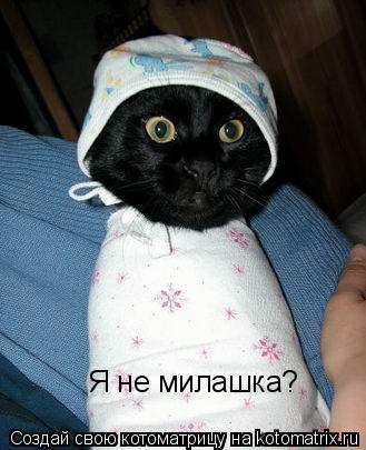 Я не милашка?... Котоматрица: Я не милашка?