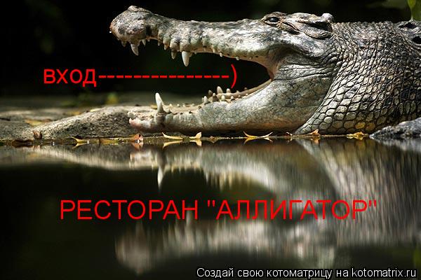 РЕСТОРАН "АЛЛИГАТОР" вход---------------)... Котоматрица: РЕСТОРАН "АЛЛИГАТОР" вход---------------)