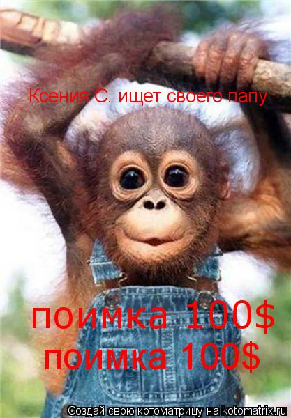 Котоматрица: Ксения С. ищет своего папу поимка 100$ поимка 100$
