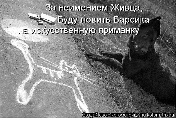За неимением Живца, Буду ловить Барсика на искусственную приманку... Котоматрица: За неимением Живца, Буду ловить Барсика на искусственную приманку
