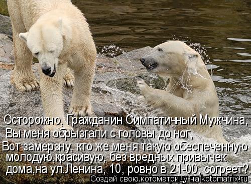 Осторожно, Гражданин Симпатичный Мужчина, Вы меня обрызгали с головы до ног, молодую,красивую, без вр... Котоматрица: Осторожно, Гражданин Симпатичный Мужчина, Вы меня обрызгали с головы до ног, молодую,красивую, без вредных привычек дома,на ул.Ленина, 10, ро