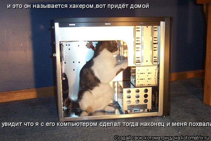 и это он называется хакером,вот придёт домой увидит что я с его компьютером сделал тогда наконец и м... Котоматрица: и это он называется хакером,вот придёт домой увидит что я с его компьютером сделал тогда наконец и меня похвалит