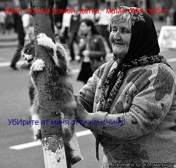 Вася, пошли домой, детка, мама тебя любит ... УбИрите ат миня этту женсЧину!... Котоматрица: Вася, пошли домой, детка, мама тебя любит ... УбИрите ат миня этту женсЧину!