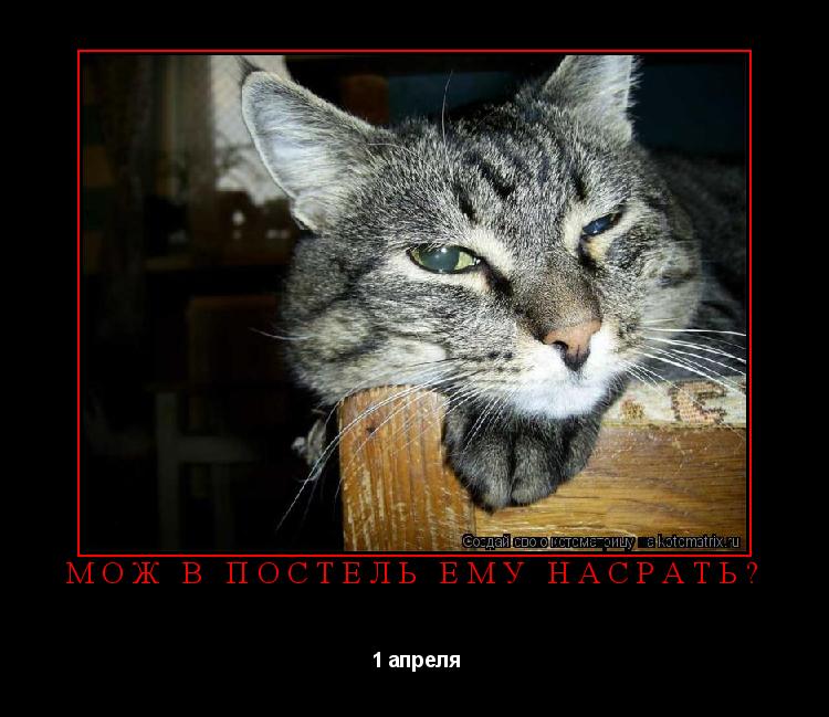 мож в постель ему насрать? 1 апреля... Котоматрица: мож в постель ему насрать? 1 апреля