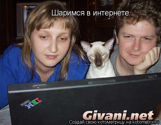 Шаримся в интернете...... Котоматрица: Шаримся в интернете...