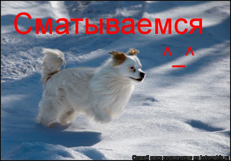 Сматываемся ^_^... Котоматрица: Сматываемся ^_^