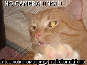NO CAMERA!!!NO!!!... Котоматрица: NO CAMERA!!!NO!!!